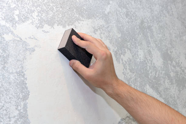 Best Commercial Mold Inspection  in Gig Harbor, WA