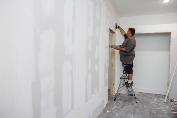 Best Basement Mold Removal  in Gig Harbor, WA