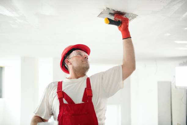 Best Attic Mold Removal  in Gig Harbor, WA