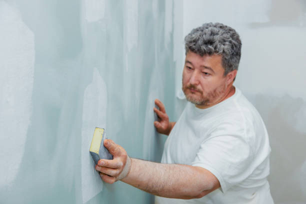 Environmental Consulting for Mold Prevention in Gig Harbor, WA