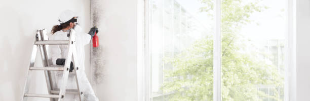 Best Comprehensive Air Testing for Mold Contaminants  in Gig Harbor, WA
