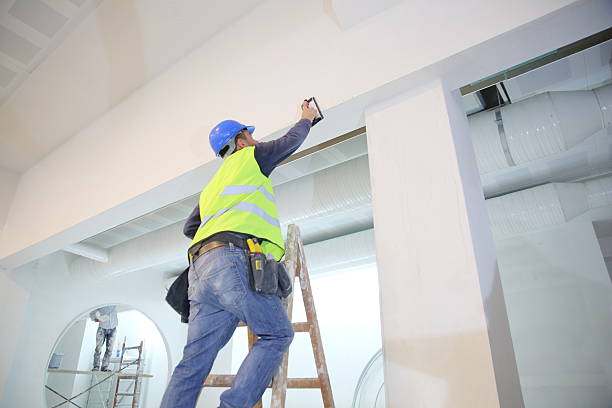 Mold Odor Removal Services in Gig Harbor, WA