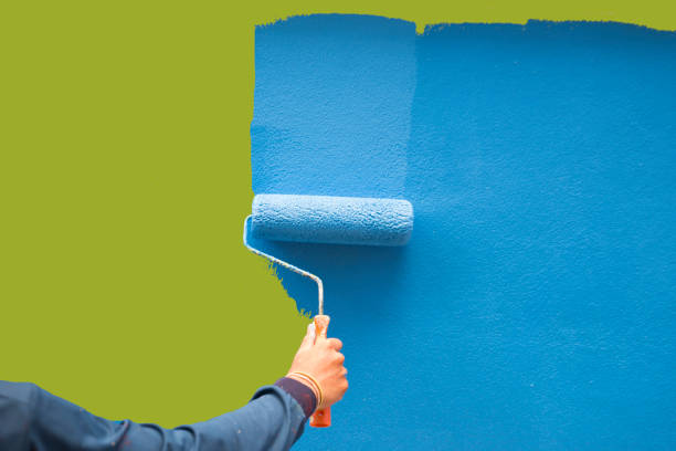 Best Mold Removal for HVAC Installations  in Gig Harbor, WA